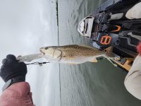 22" Redfish on 20240423